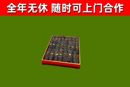 郧阳回收海参